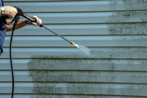 Best Roof Power Washing Services  in Pasadena, TX
