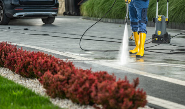 Best Roof Pressure Washing  in Pasadena, TX
