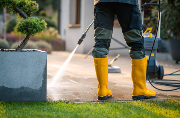 Best Pressure Washing Near Me  in Pasadena, TX